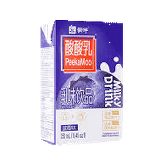 Milk Drink Blueberry Flavor 250ml — carton